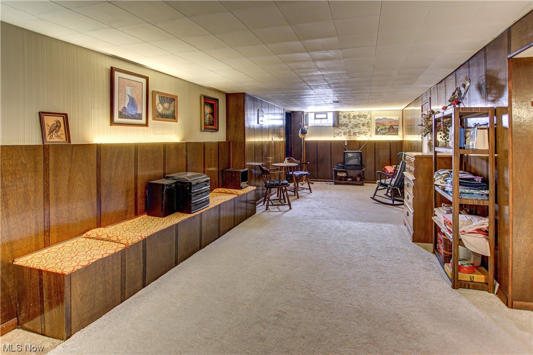 3711 Ruth Drive Brunswick, OH 44212 - Photo 19 of 35 Living area featuring light colored carpet and wooden walls