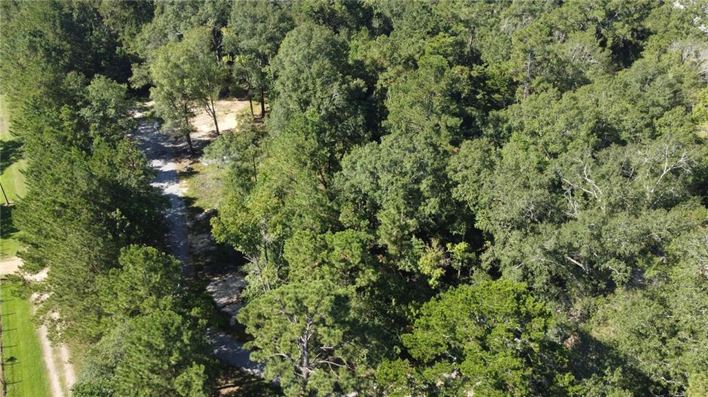 27184 Horseshoe Road Independence, LA 70443 - Photo 8 of 9