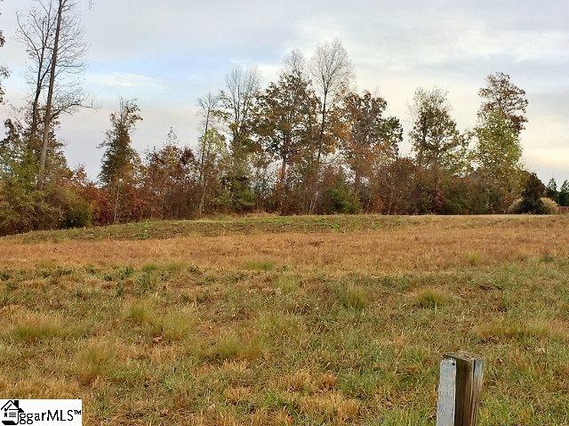 22 Ridgeburg Court Greer, SC 29651 - Photo 1 of 4