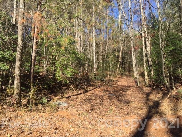 0 Wade Crain Road Bryson City, NC 28713 - Photo 1 of 10 Gallery Image 1