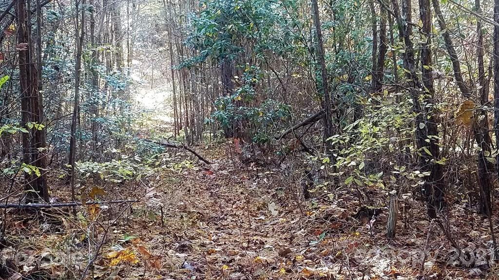 0 Wade Crain Road Bryson City, NC 28713 - Photo 3 of 10 Gallery Image 3