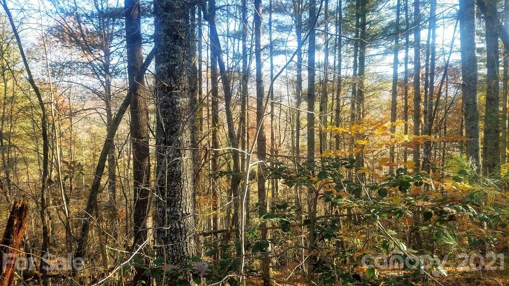 0 Wade Crain Road Bryson City, NC 28713 - Photo 4 of 10 Gallery Image 4