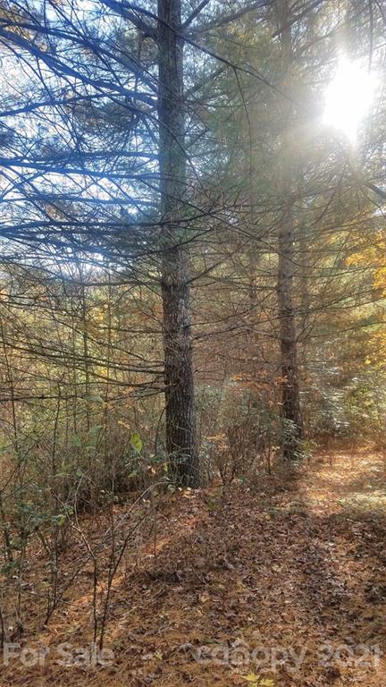 0 Wade Crain Road Bryson City, NC 28713 - Photo 9 of 10 Gallery Image 9