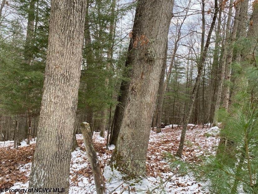 3000 Holly Meadows Road Parsons, WV 26287 - Photo 49 of 50 Gallery Image 49