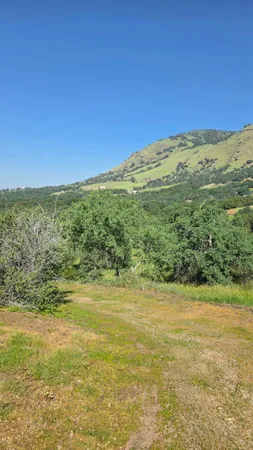 a view of an ocean from a yard
