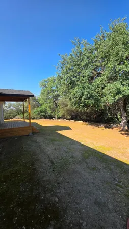 a view of yard with green space
