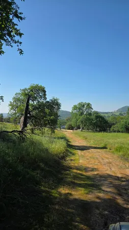 a view of a lake from a yard