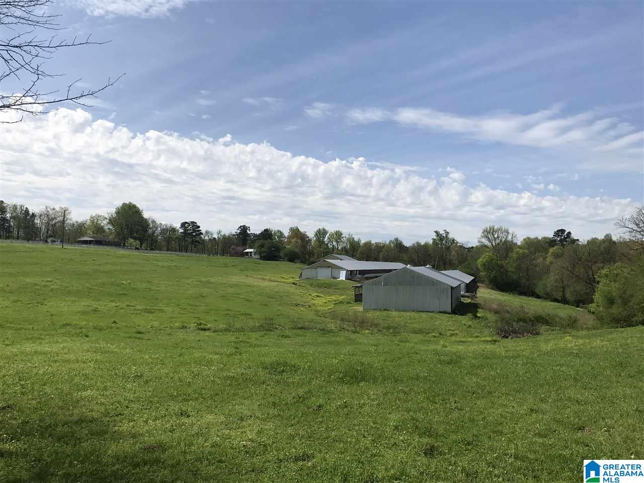 1241 Reneau Road Oneonta, AL 35121 - Photo 19 of 50