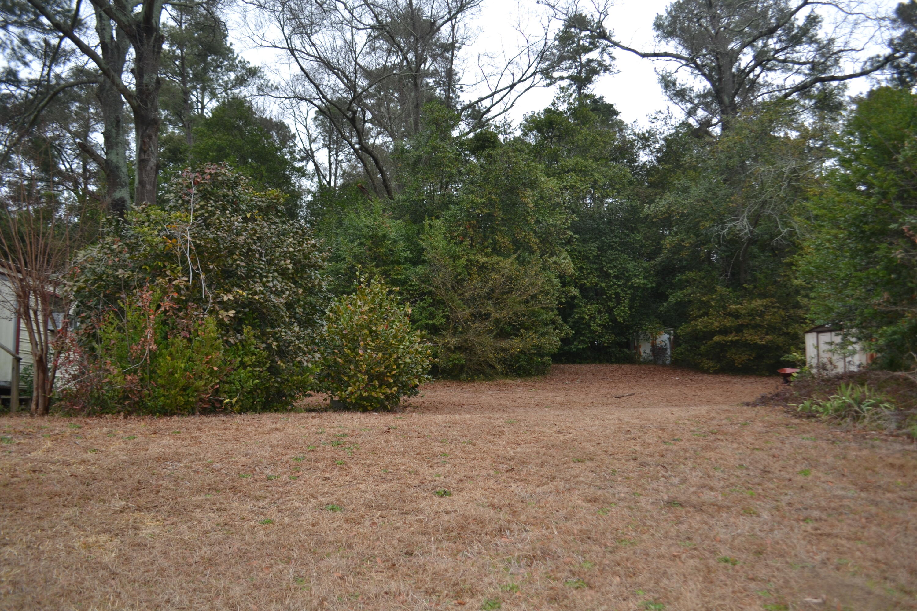 2315 Martin Road Augusta, GA 30906 - Photo 5 of 33 DSC_0768