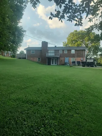 a view of a big yard with plants and large trees