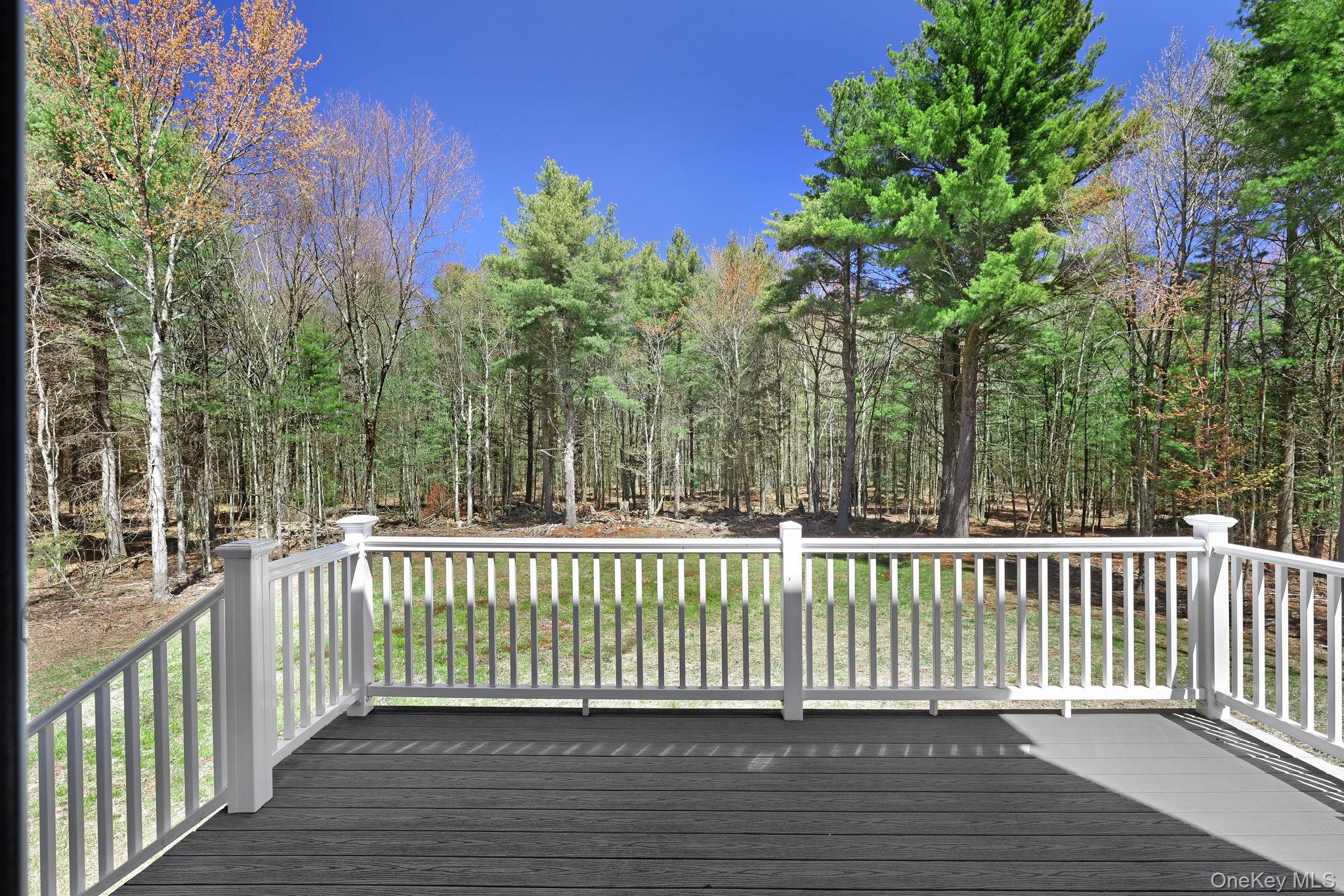 57 Haddock Road Monticello, NY 12701 - Photo 11 of 42 a view of a roof deck