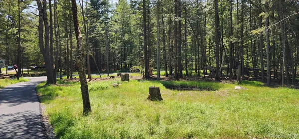 $1,050,000 | 57 Haddock Road, Monticello, NY 12701