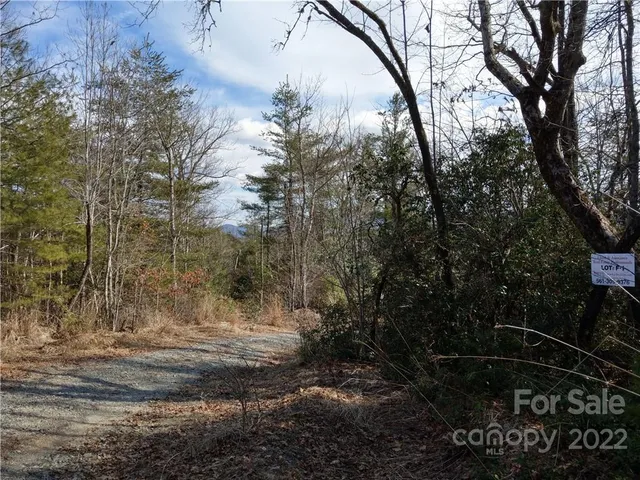 a close up of a shower