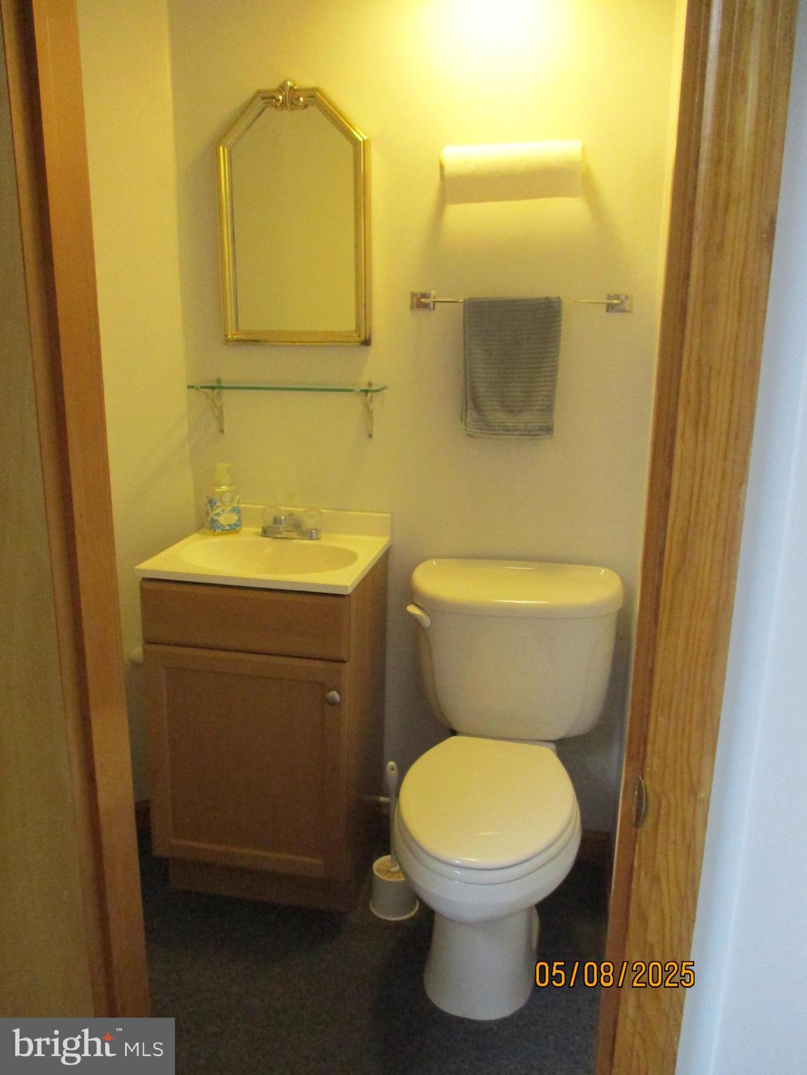 9 Montsera Road Carlisle, PA 17015 - Photo 122 of 142 Lower Level Bath