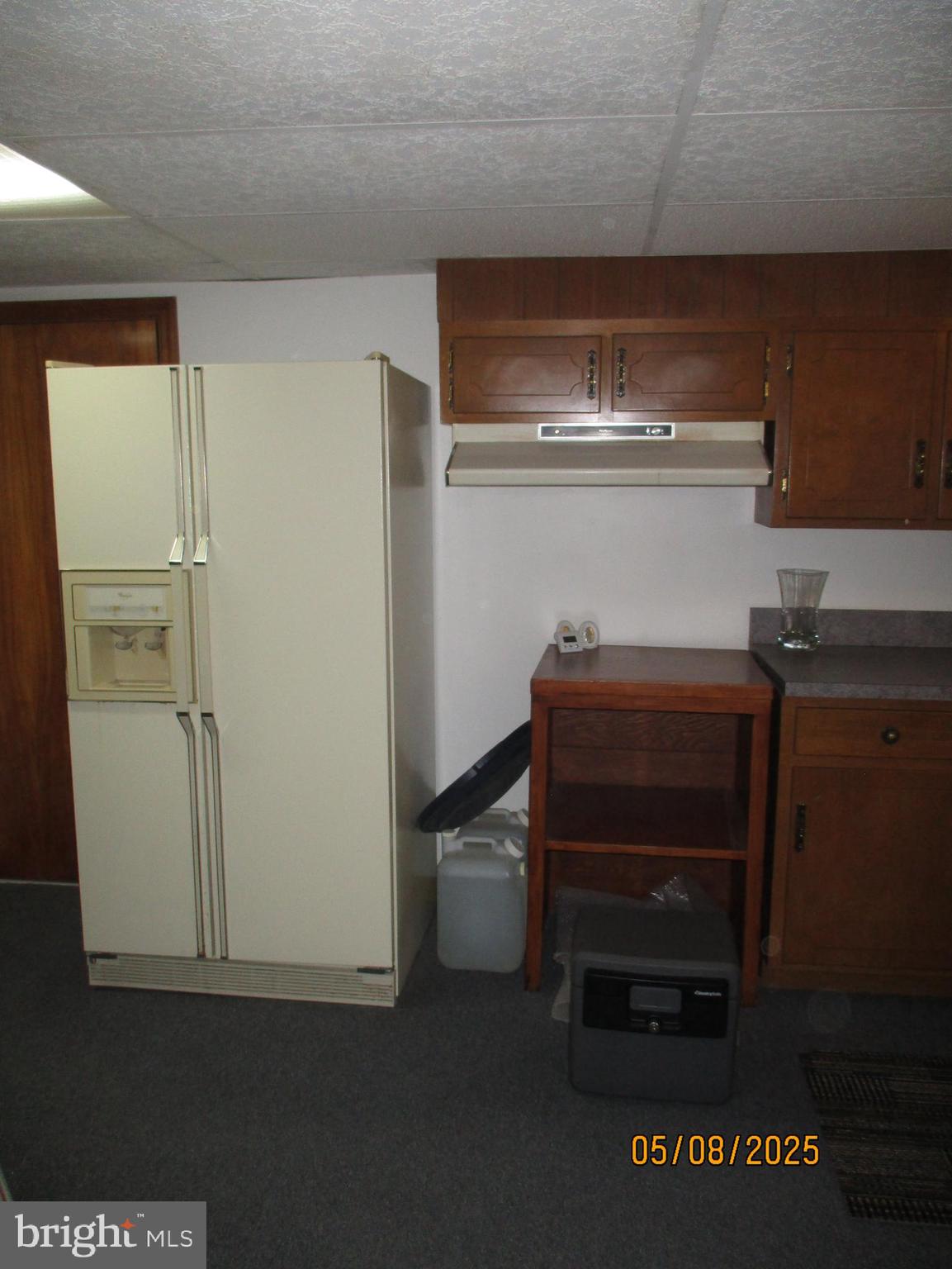 9 Montsera Road Carlisle, PA 17015 - Photo 129 of 142 Lower Level Kitchen