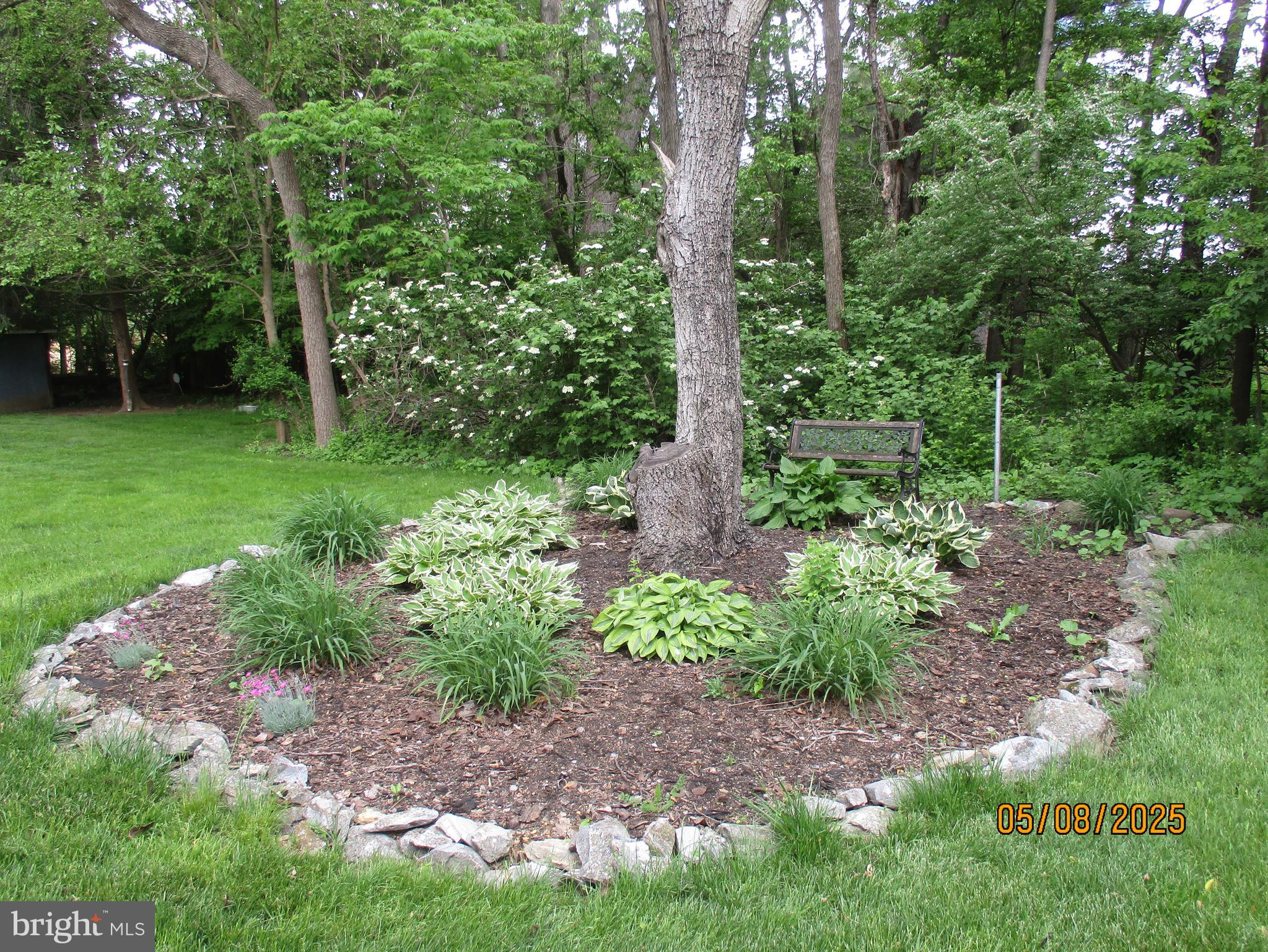 9 Montsera Road Carlisle, PA 17015 - Photo 19 of 142 a view of a garden with plants