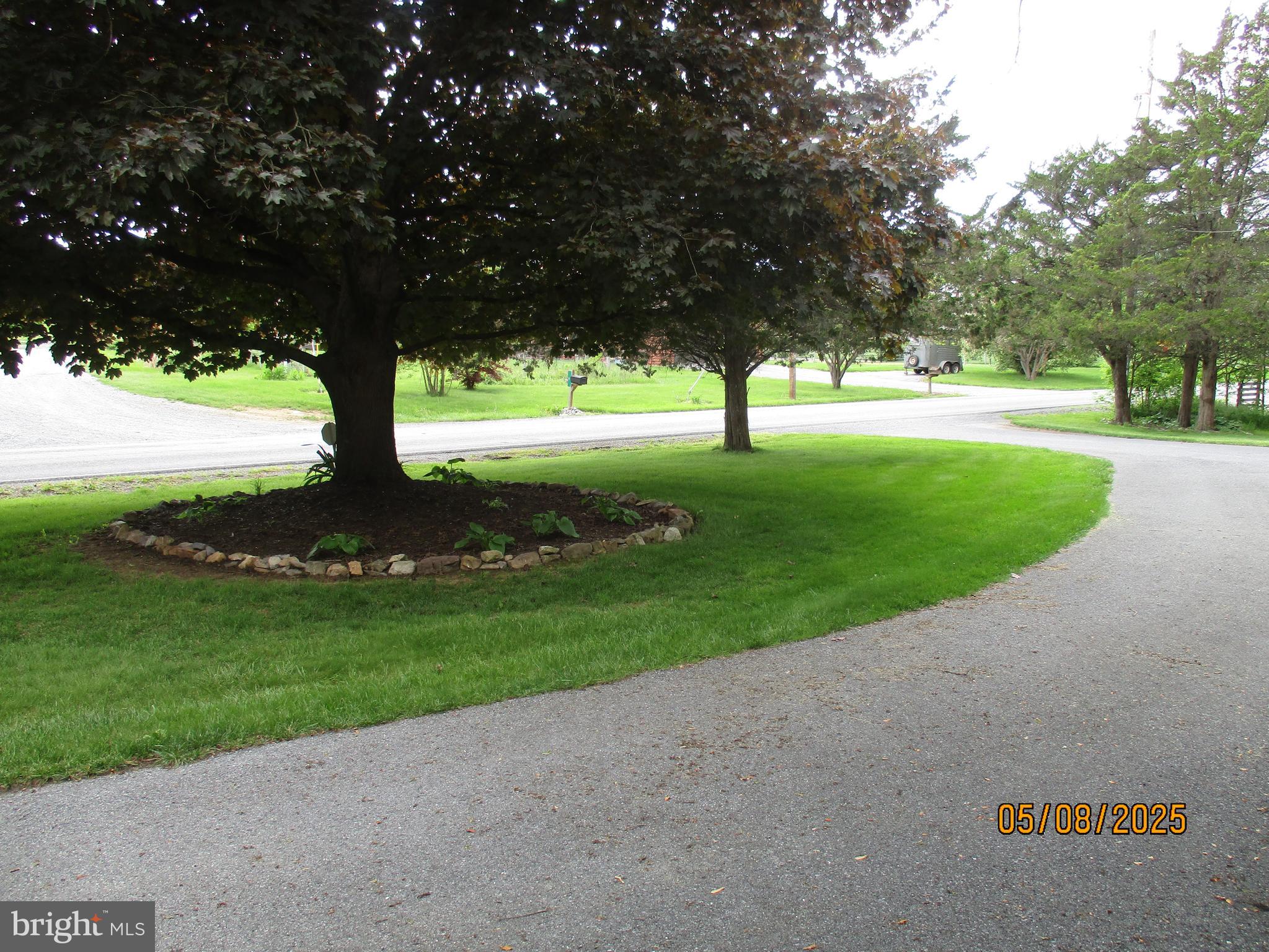 9 Montsera Road Carlisle, PA 17015 - Photo 31 of 142 a view of a yard with a tree