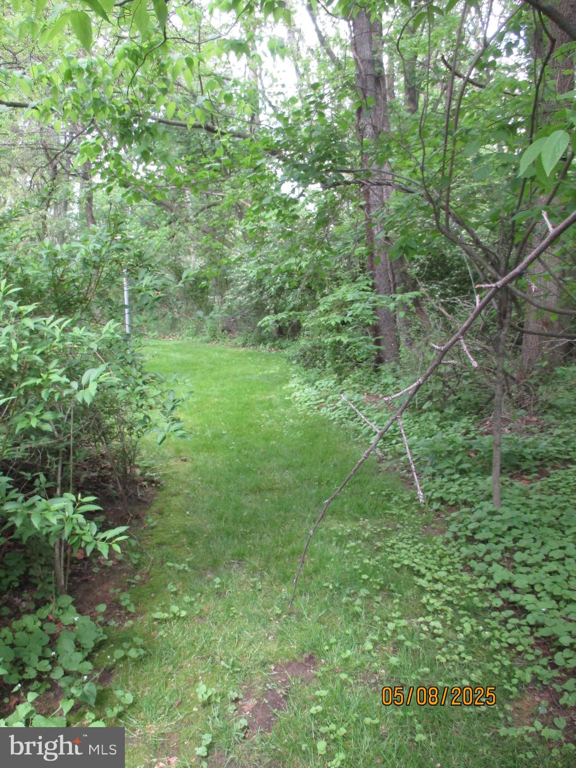 9 Montsera Road Carlisle, PA 17015 - Photo 40 of 142