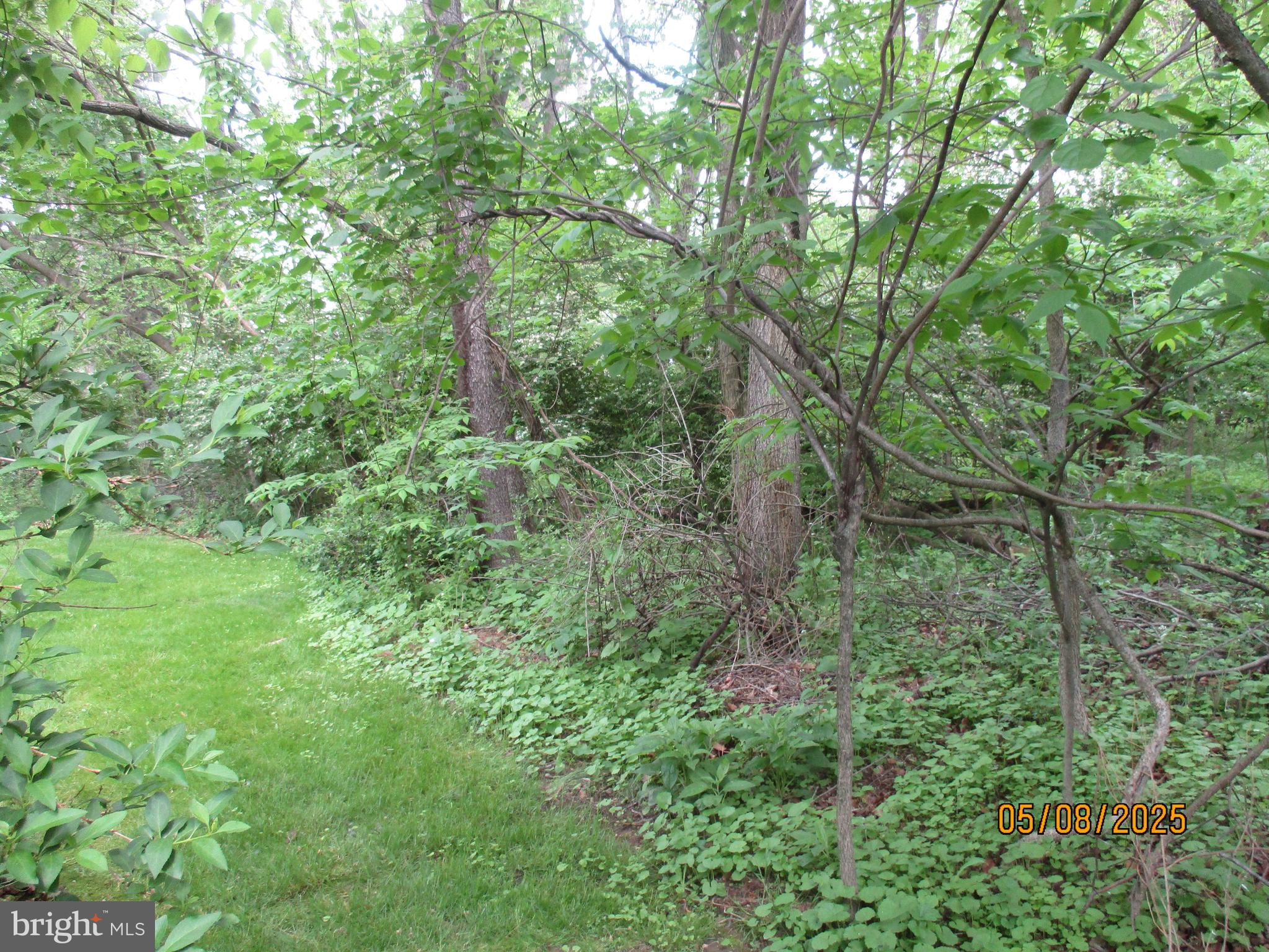 9 Montsera Road Carlisle, PA 17015 - Photo 41 of 142