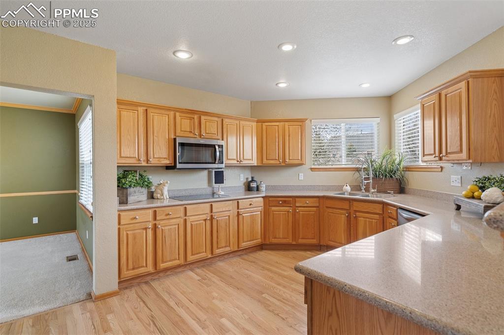 11985 Hanging Valley Way Colorado Springs, CO 80921 - Photo 7 of 41