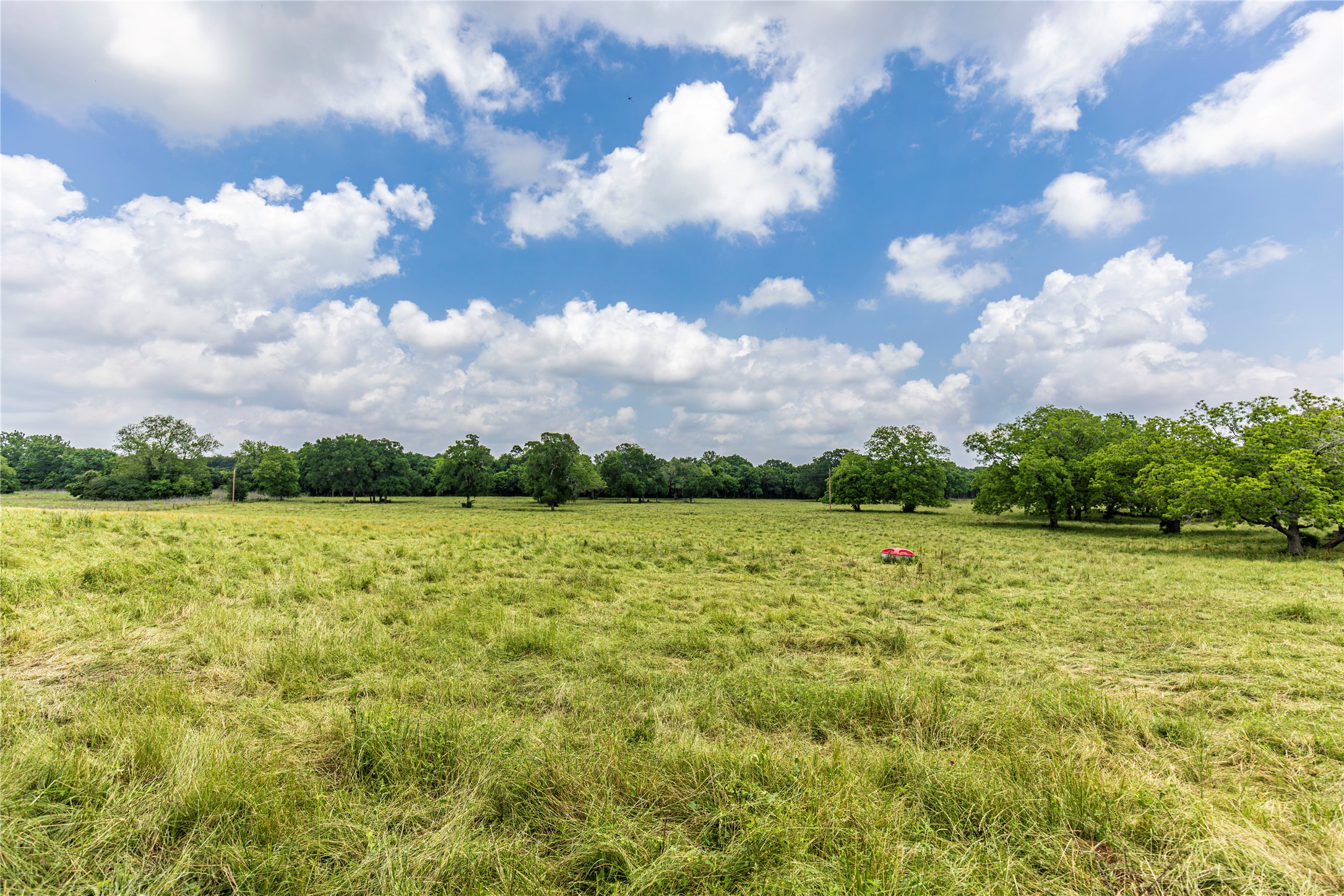 3148 Mill Creek Ranch Road Bellville, TX 77418 - Photo 7 of 13