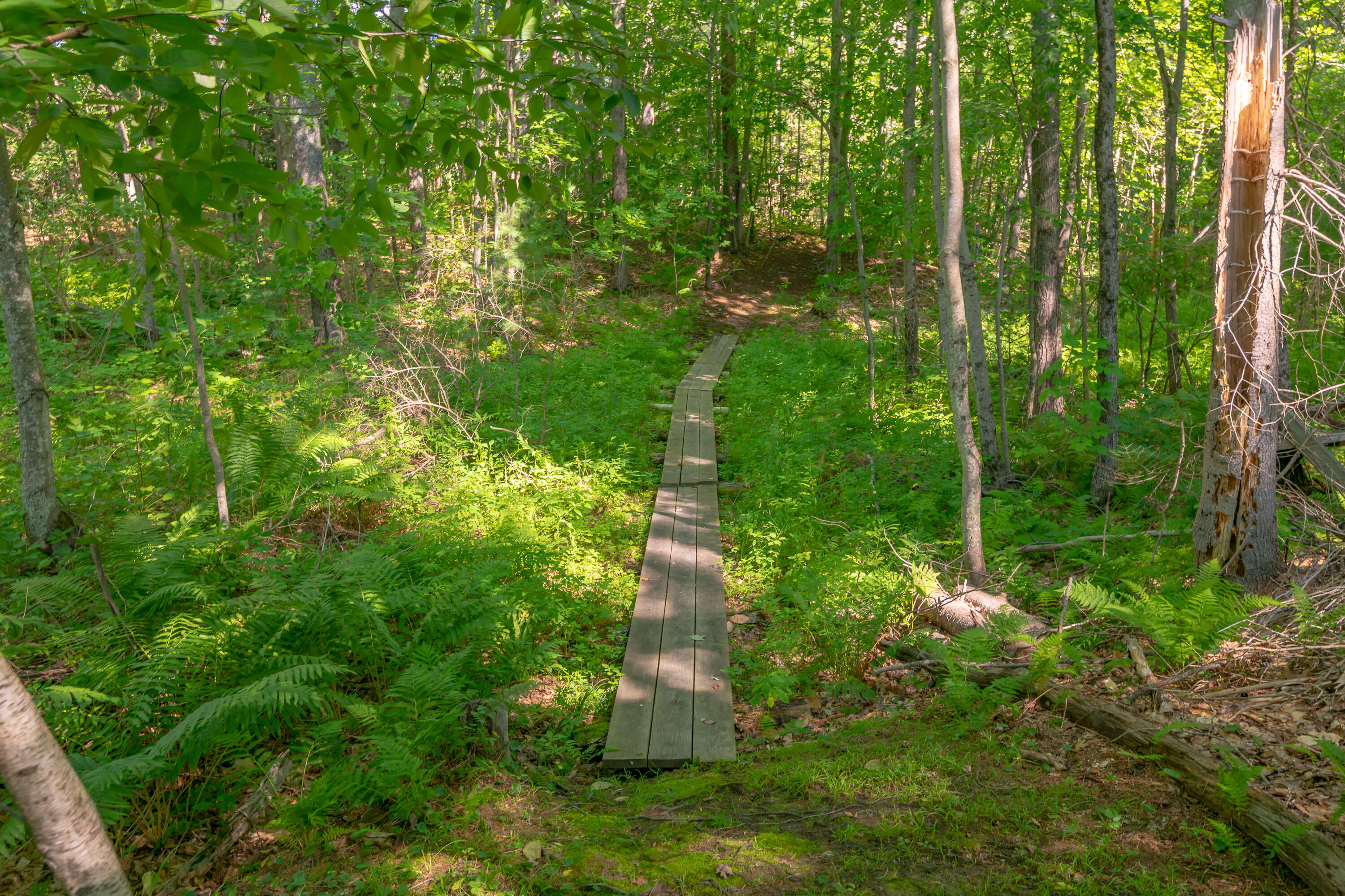 697 Fort Hill Road Gorham, ME 04038 - Photo 40 of 41