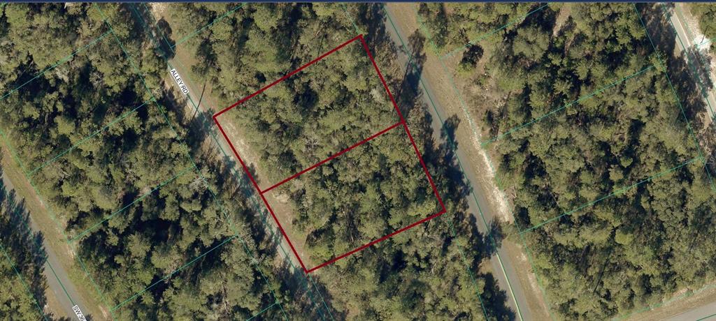 8002 Alley Road Ocala, FL 34473 - Photo 1 of 2