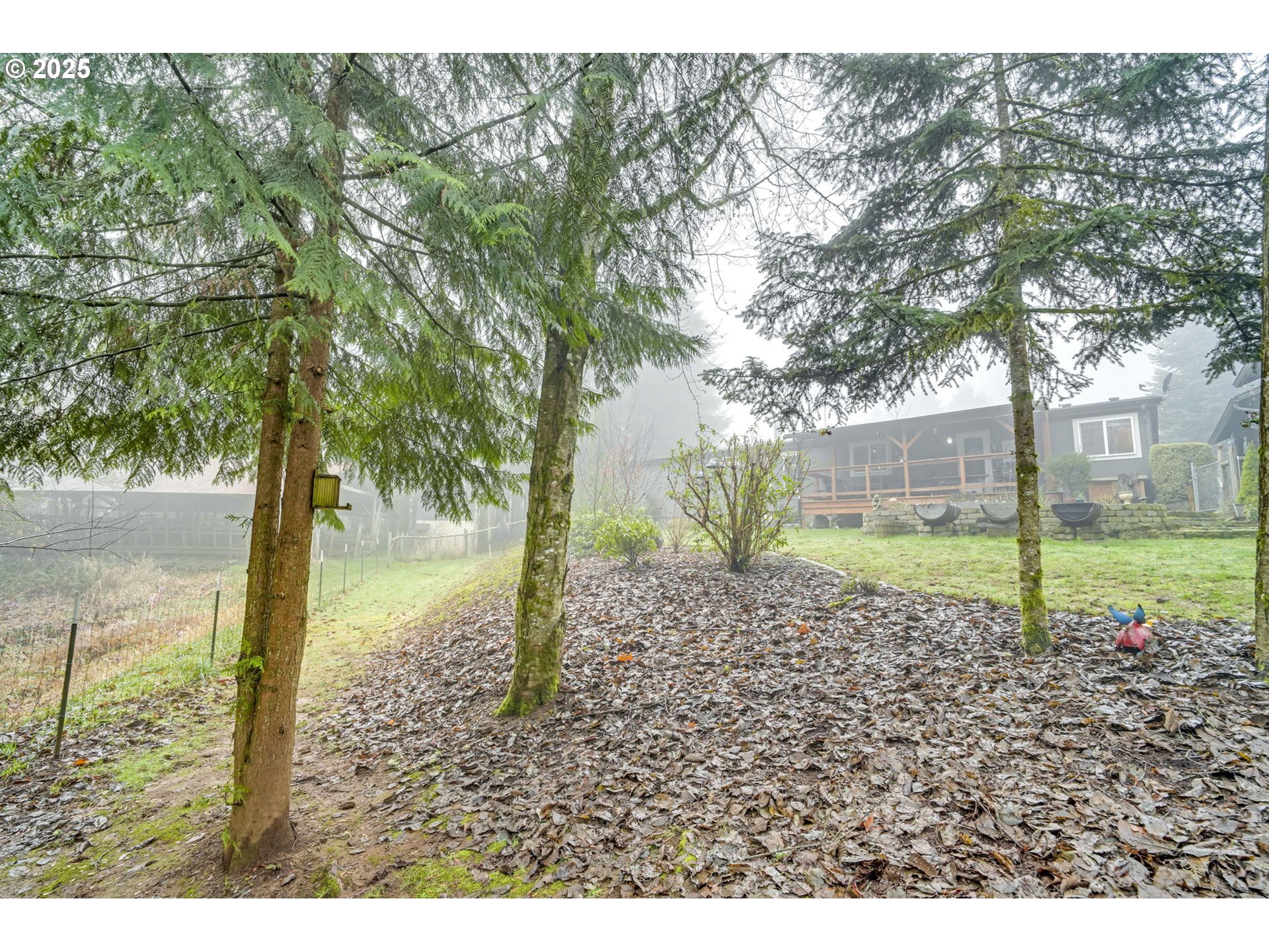 171 Car Road Longview, WA 98632 - Photo 41 of 45 a backyard of a house with lots of green space