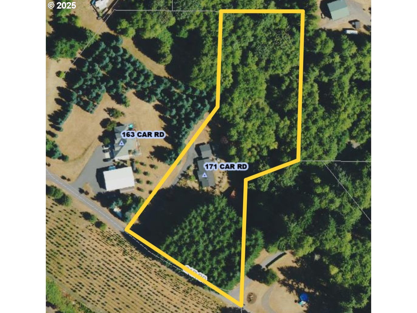 171 Car Road Longview, WA 98632 - Photo 44 of 45 a picture of a tree