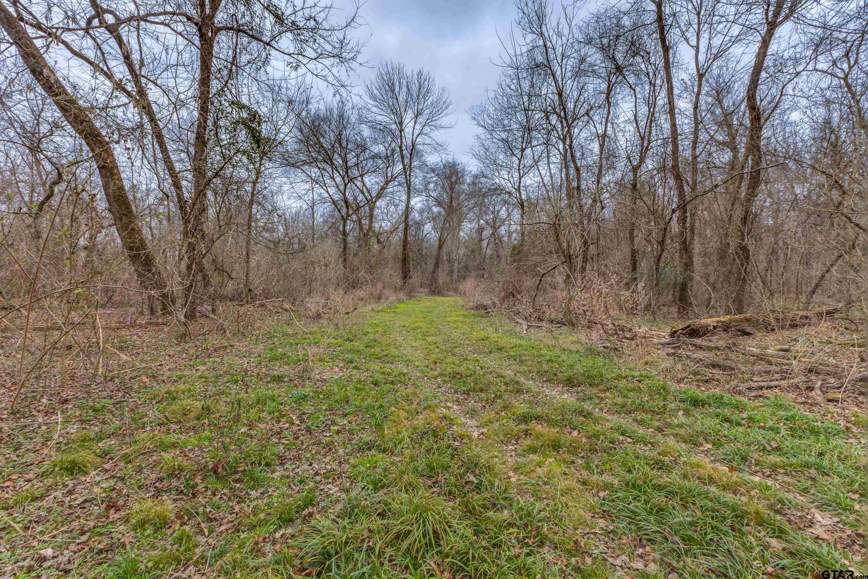 900 West Fm Saltillo, TX 75478 - Photo 32 of 36