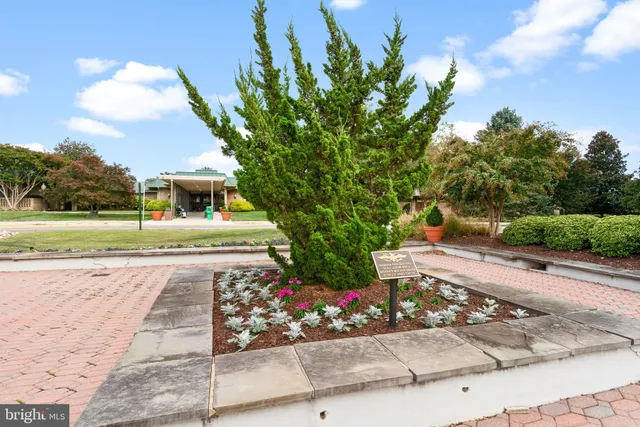 a view of a garden with flowers