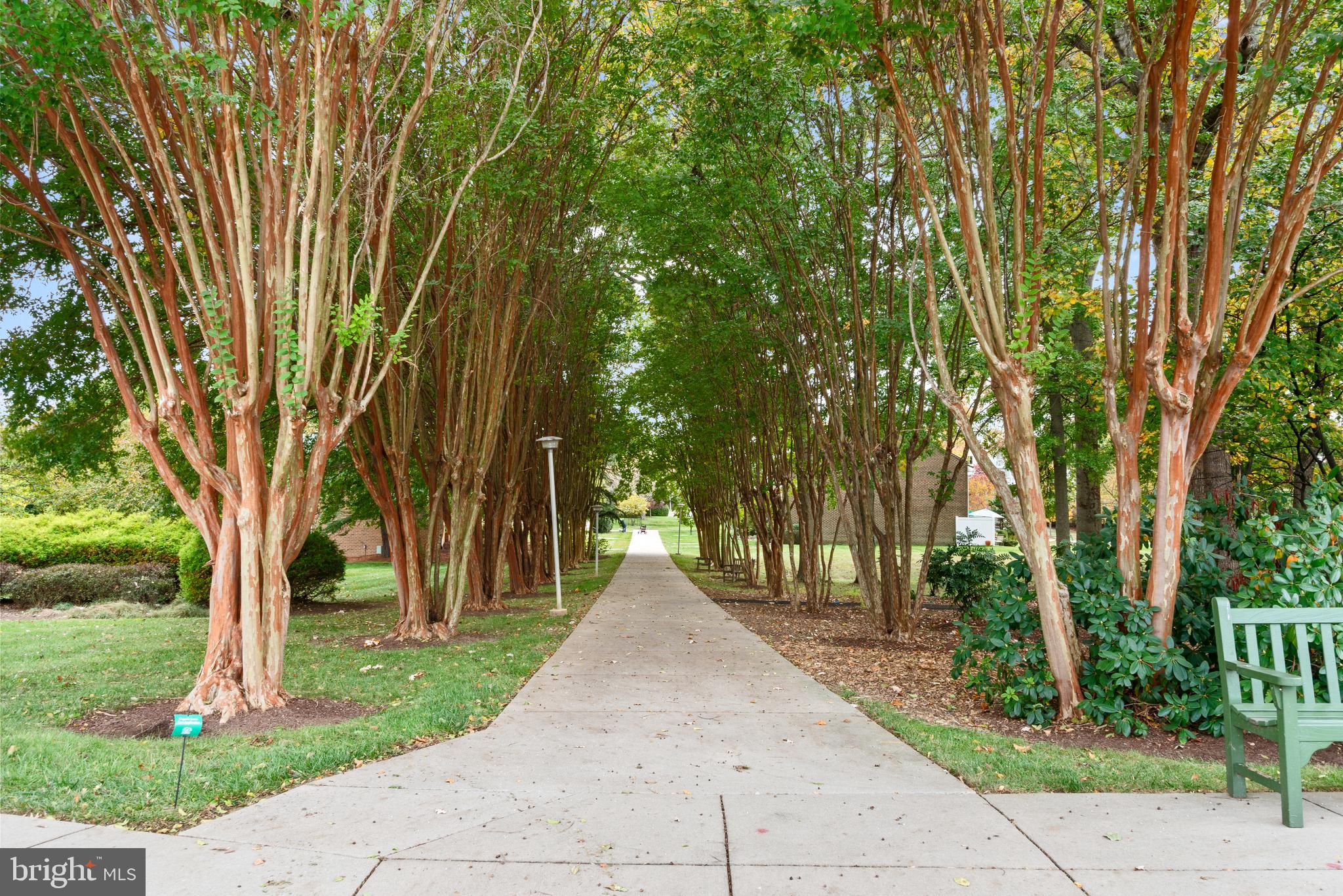 2900 North Leisure World Boulevard, Unit 301 Silver Spring, MD 20906 - Photo 24 of 30