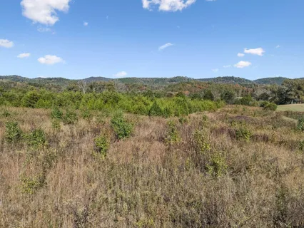 $105,000 | 0 Old Sink Church Tellico Plains, Tellico Plains, TN 37385