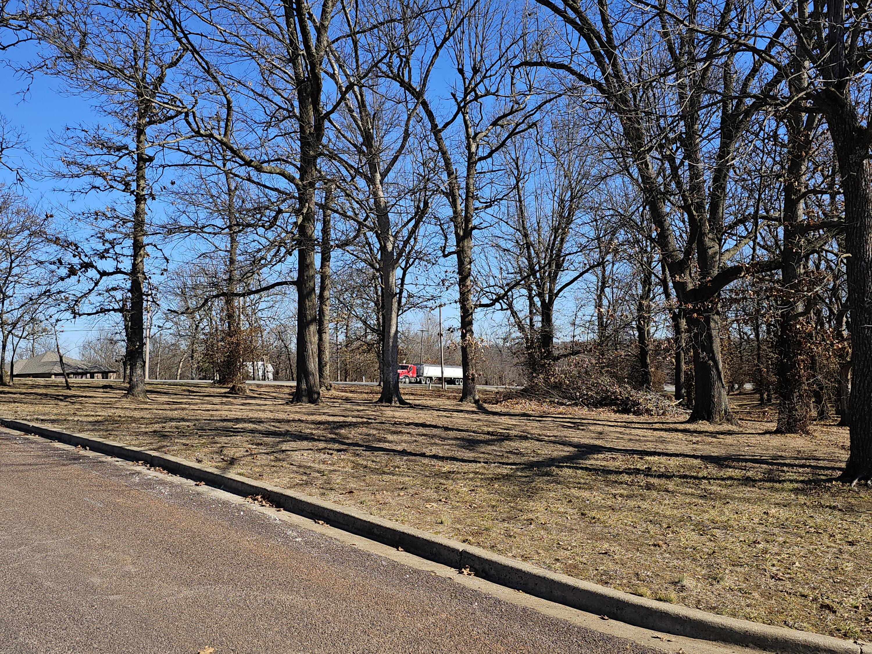 0 Redbud Place Monett, MO 65708 - Photo 11 of 12 20260206_103241