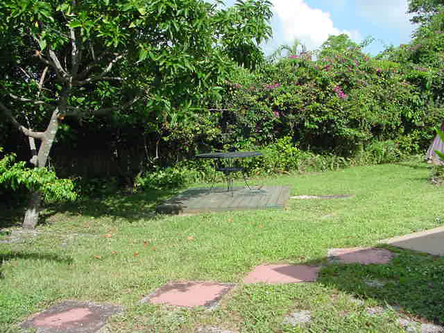 663 Southwest 17th Court Boca Raton, FL 33486 - Photo 15 of 15 Grassy Back Yard