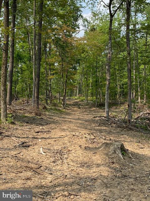 14 Fulton Road Hedgesville, WV 25427 - Photo 1 of 9 Gallery Image 1