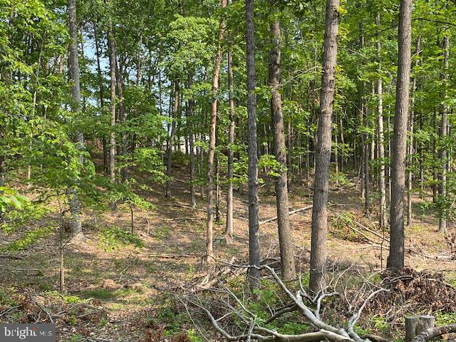 14 Fulton Road Hedgesville, WV 25427 - Photo 2 of 9 Gallery Image 2