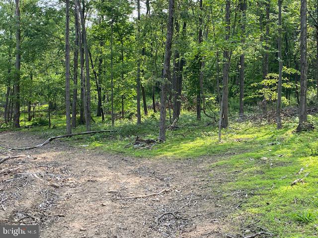 14 Fulton Road Hedgesville, WV 25427 - Photo 3 of 9 Gallery Image 3