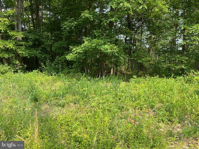 14 Fulton Road Hedgesville, WV 25427 - Photo 5 of 9 Gallery Image 5