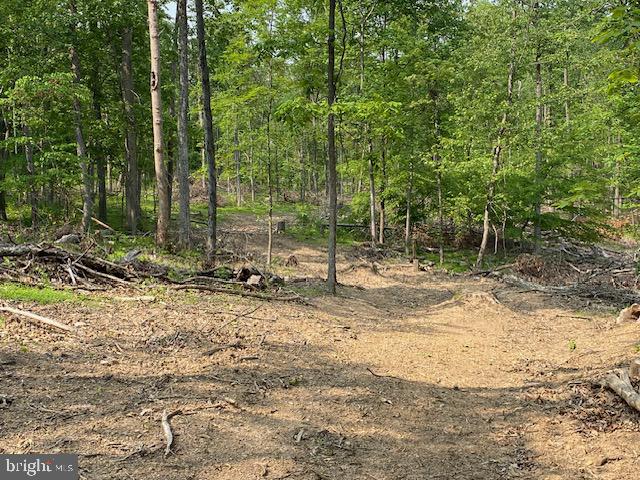 14 Fulton Road Hedgesville, WV 25427 - Photo 9 of 9 Gallery Image 9