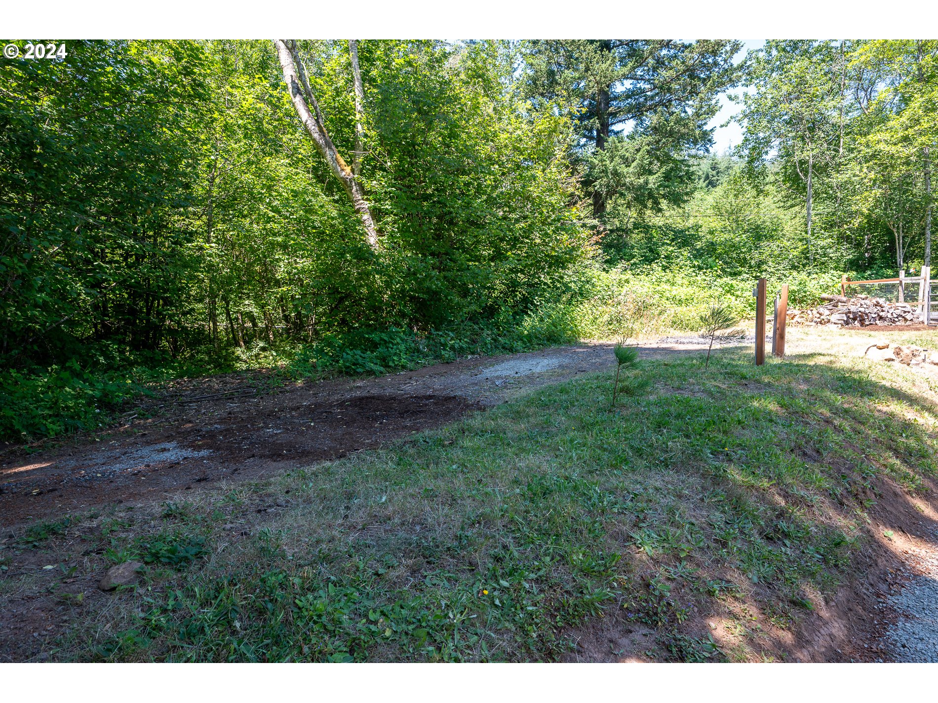 6007 Northeast Lessard Road Camas, WA 98607 - Photo 40 of 48 a view of a yard with a tree