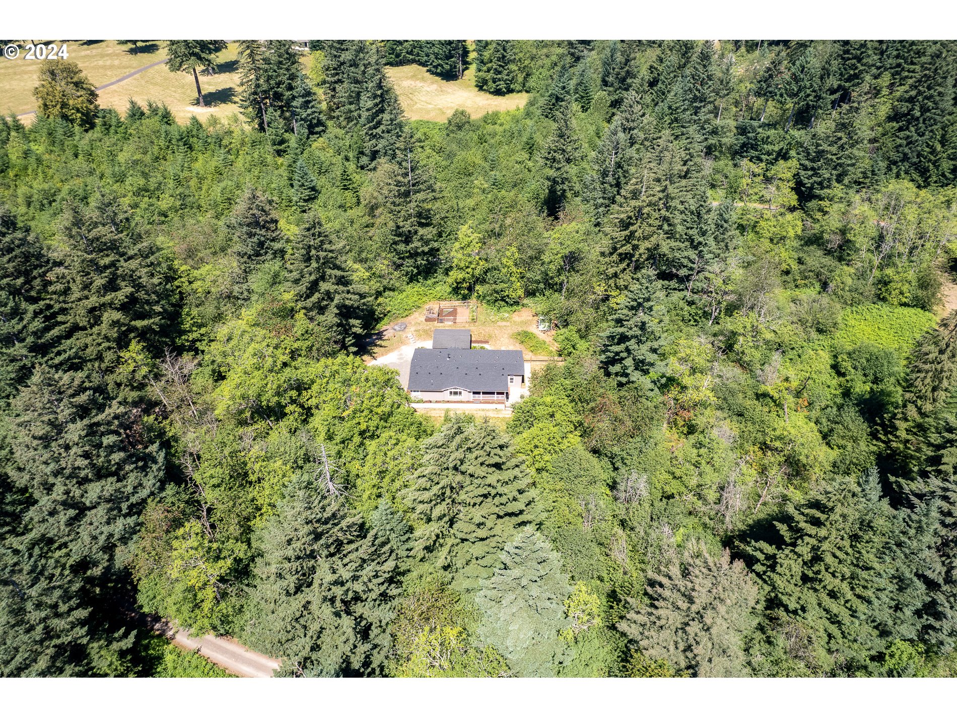 6007 Northeast Lessard Road Camas, WA 98607 - Photo 44 of 48 a view of a large yard with lots of green bushes