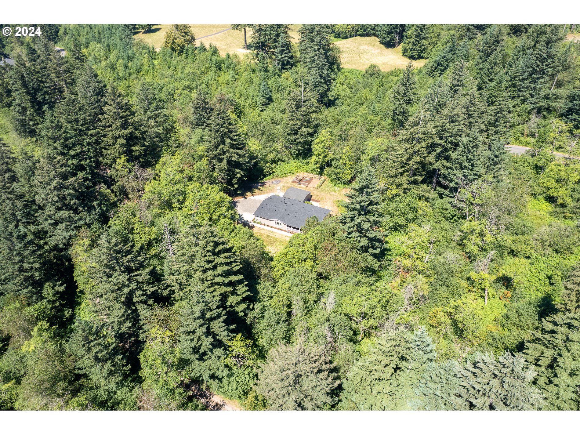 6007 Northeast Lessard Road Camas, WA 98607 - Photo 45 of 48 a view of a big yard with lots of green bushes