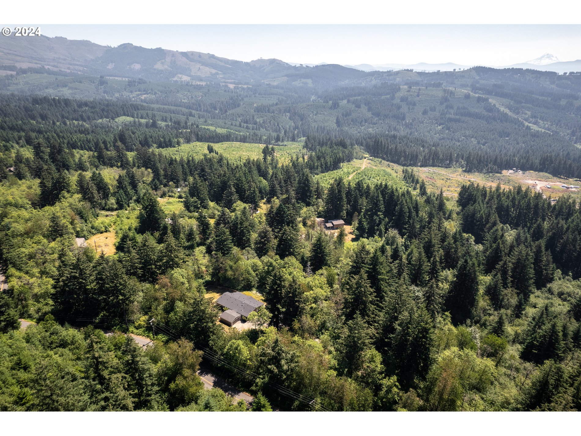 6007 Northeast Lessard Road Camas, WA 98607 - Photo 47 of 48 a view of a lush green hillside and houses