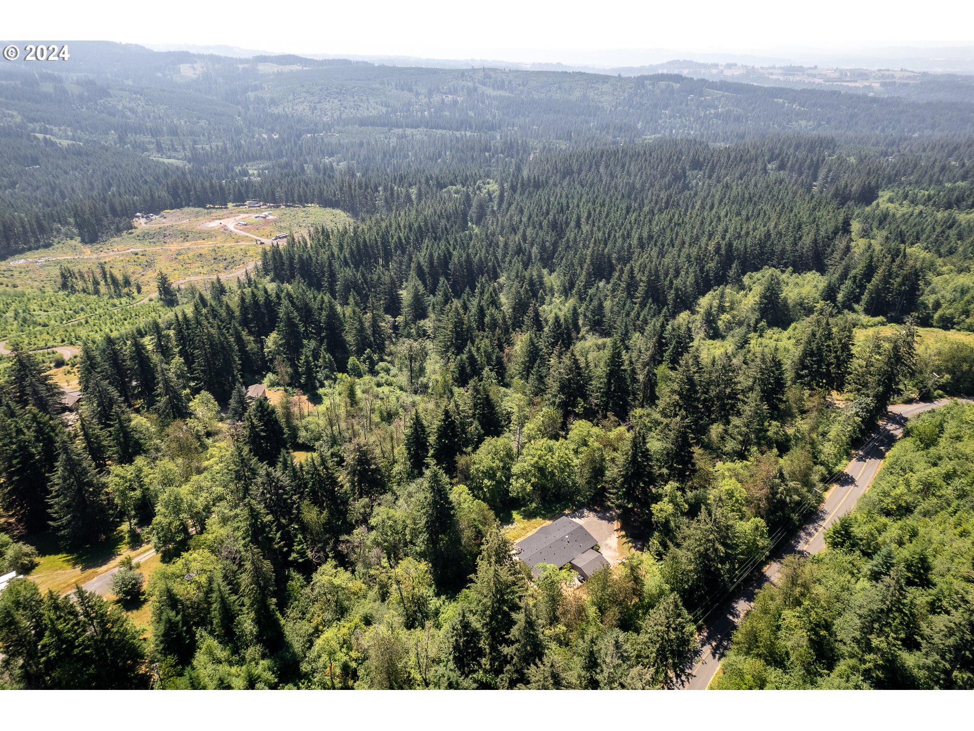 6007 Northeast Lessard Road Camas, WA 98607 - Photo 48 of 48 a view of a forest with a street