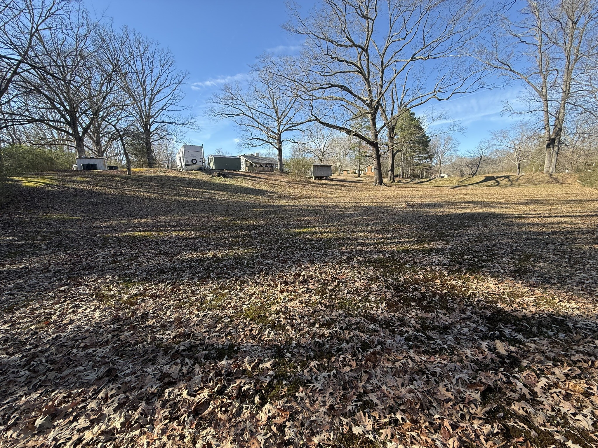 153 Lucas Road Eva, TN 38333 - Photo 2 of 10 a view of dirt yard with a large tree