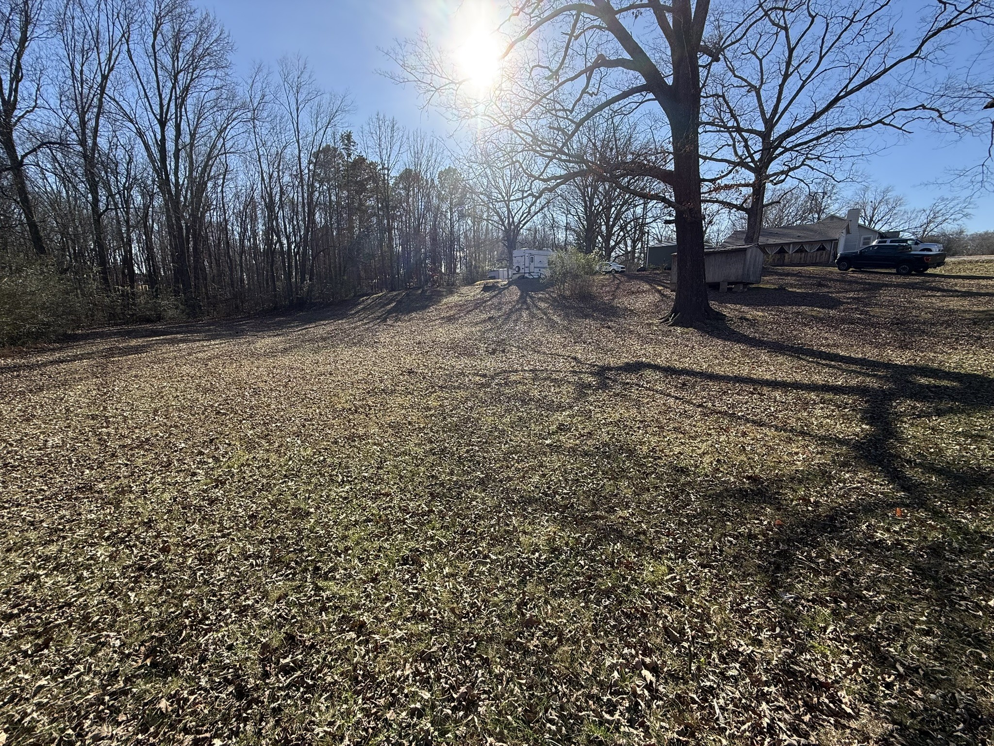 153 Lucas Road Eva, TN 38333 - Photo 9 of 10 a view of a yard with trees