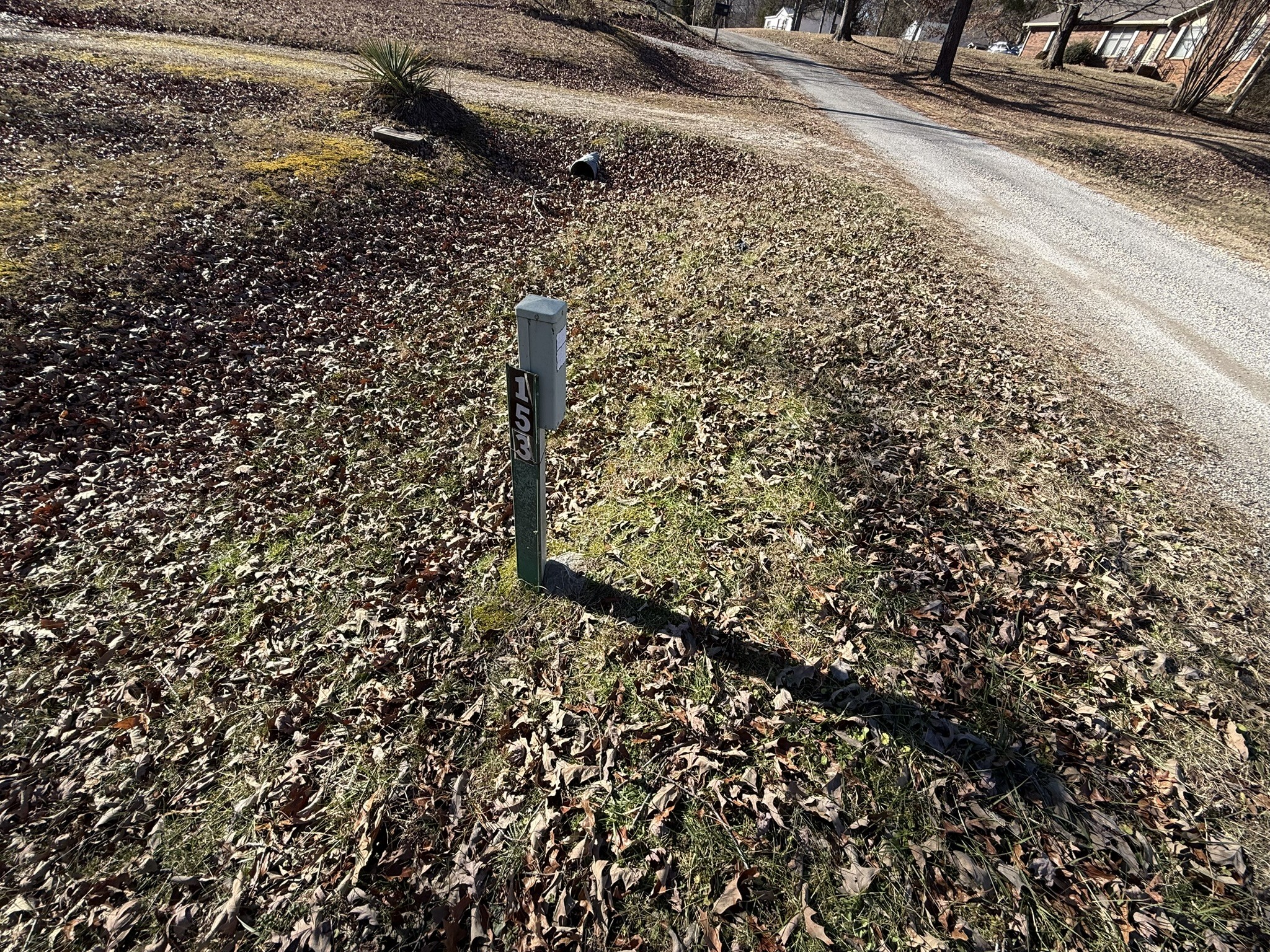 153 Lucas Road Eva, TN 38333 - Photo 10 of 10 a view of a yard of a house