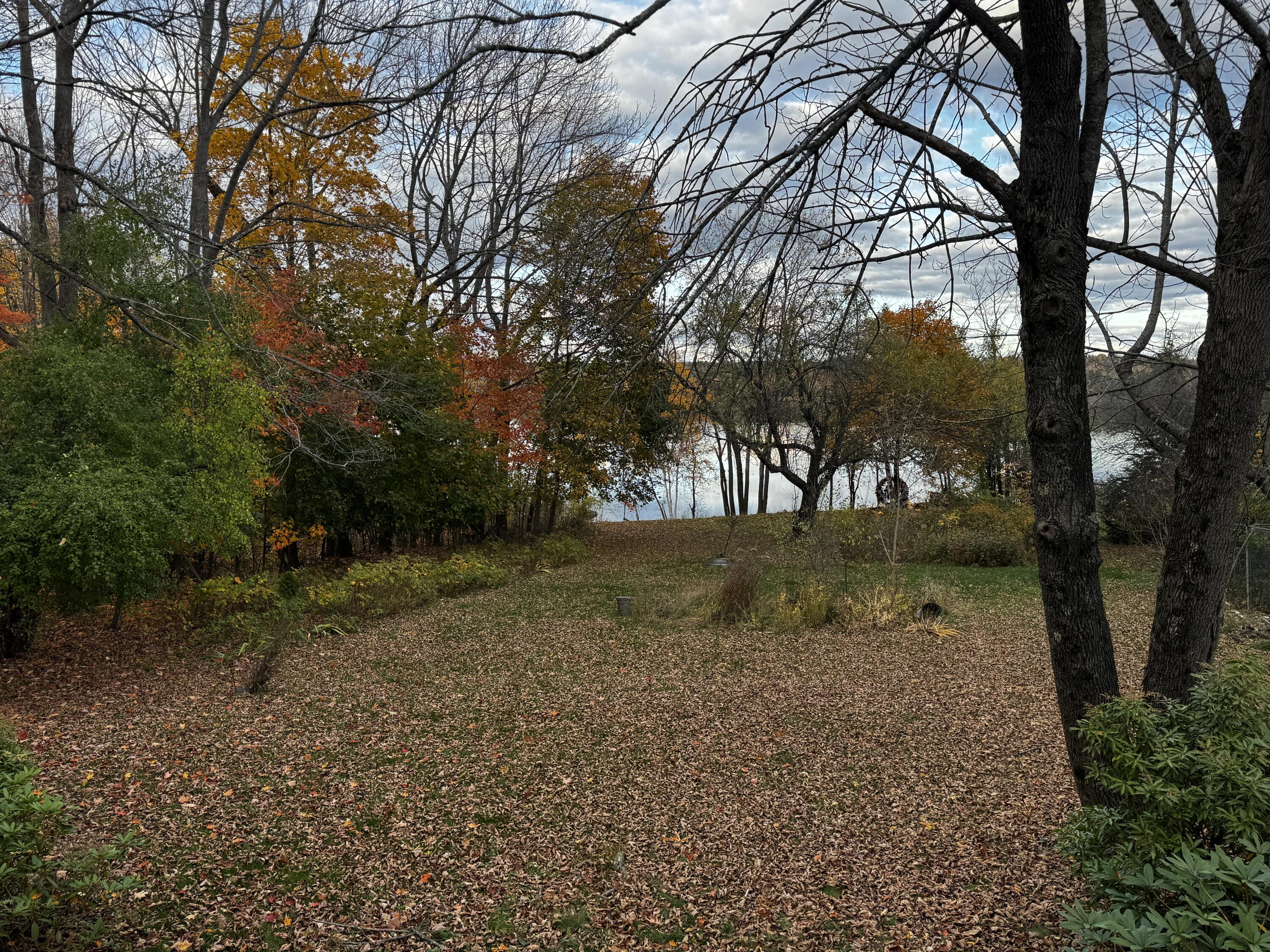 704 Main Street Calais, ME 04619 - Photo 3 of 55 Backyard