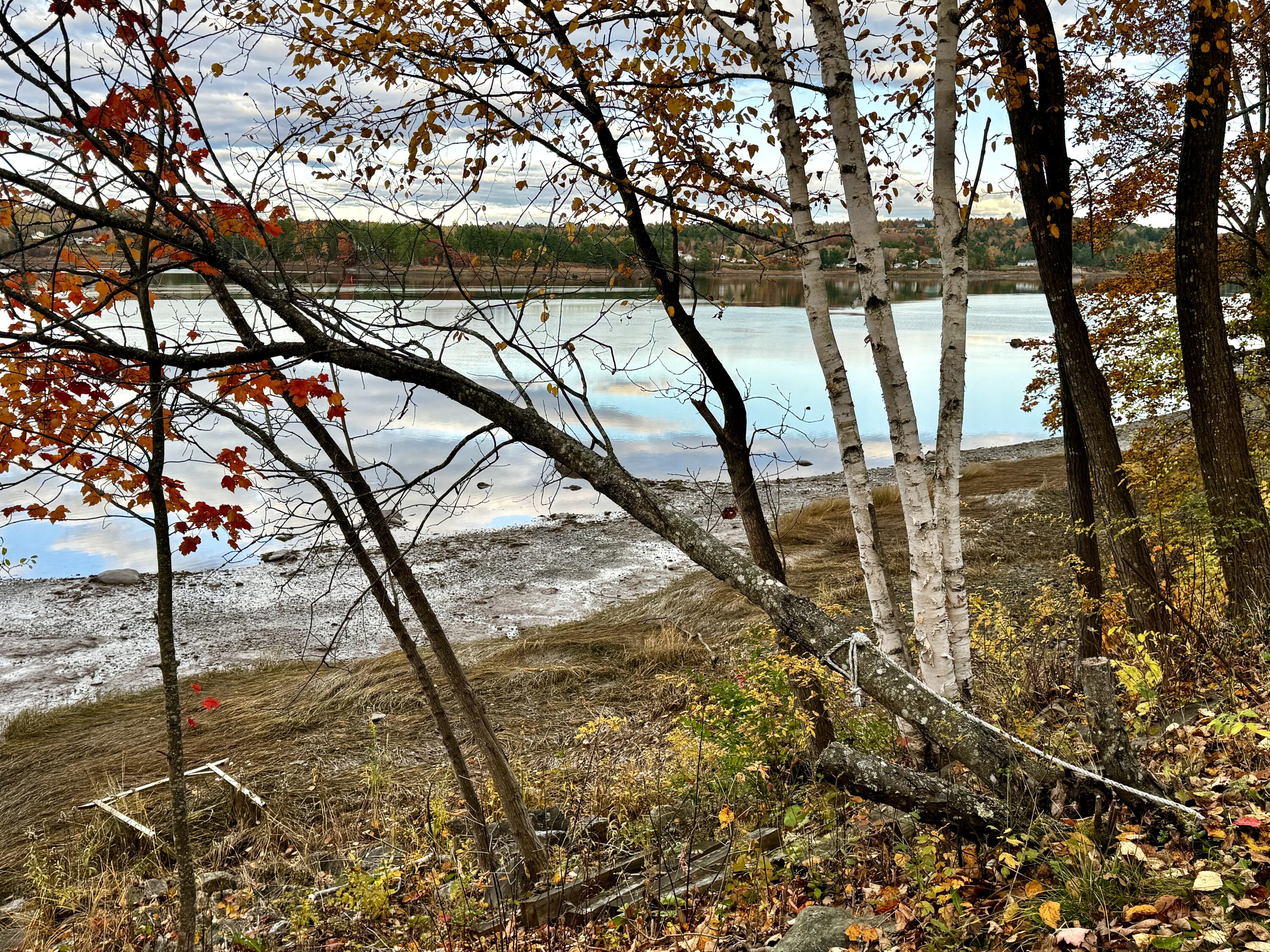 704 Main Street Calais, ME 04619 - Photo 9 of 55 IMG_1996(1)